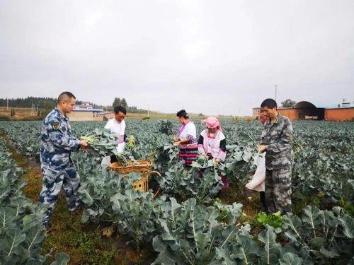沾益天生桥最新爆料,最新爆料揭示世界奇观背后故事 第2张 沾益天生桥最新爆料,最新爆料揭示世界奇观背后故事 第2张